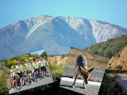 06/06/12 ride collage